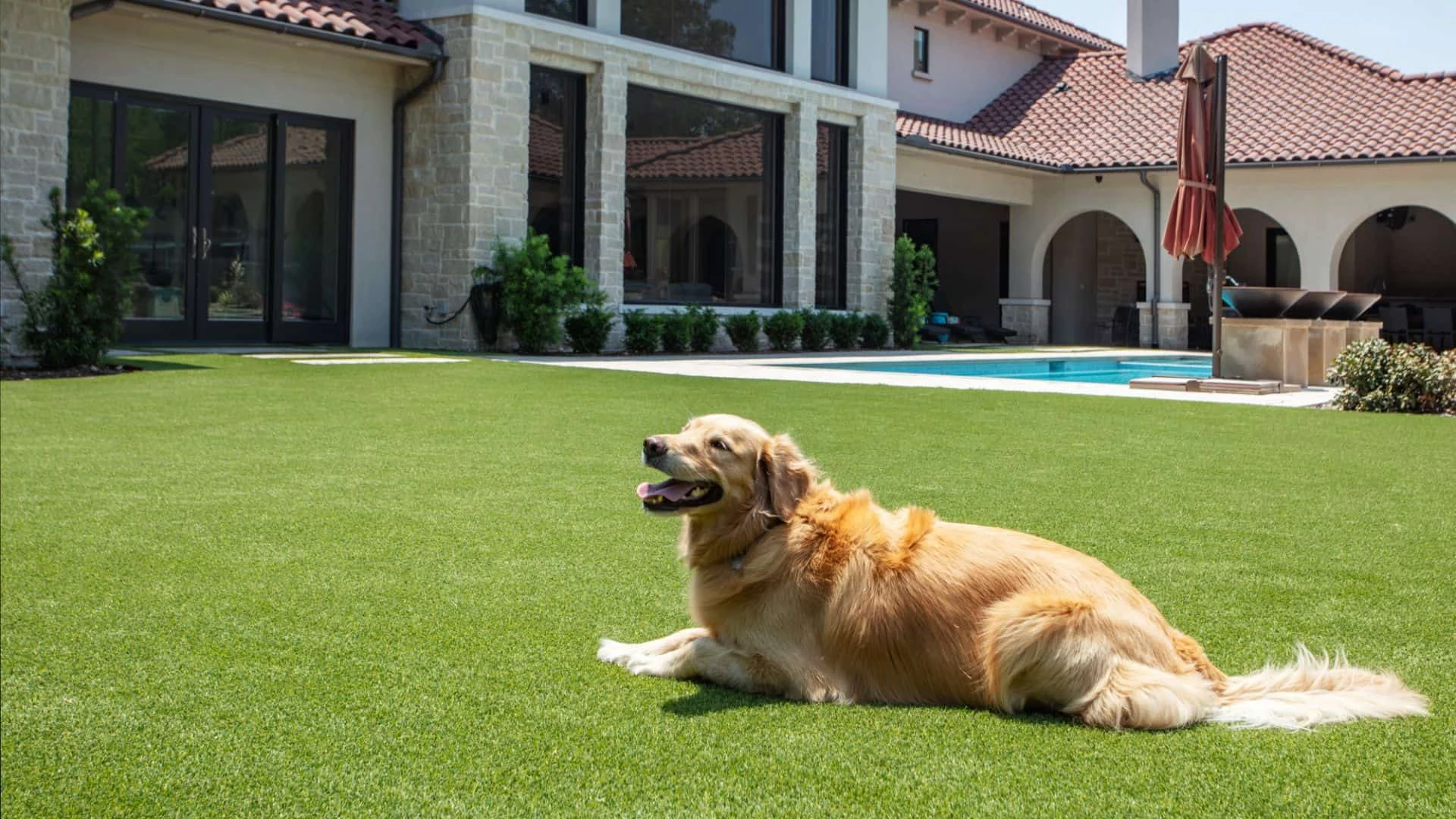 Pet Friendly Artificial Turf Installation in Humble, TX